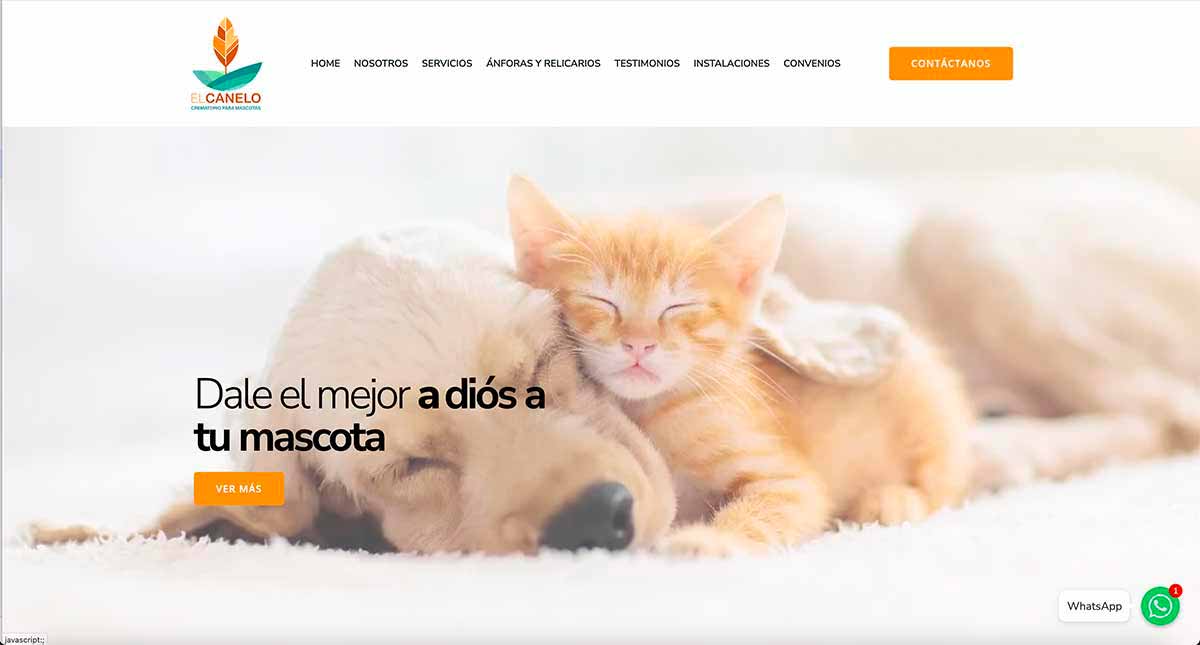 Cremación de mascotas en Santiago
